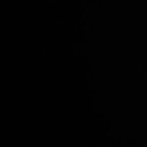 Meet your Posher, Kiran